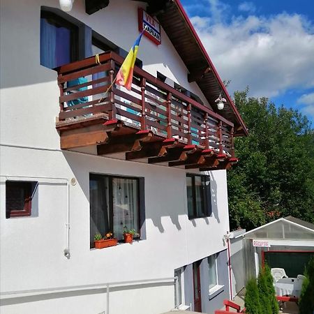 Vila Darian Villa Buşteni Екстериор снимка