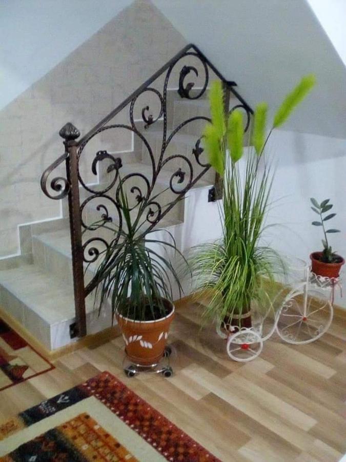 Vila Darian Villa Buşteni Екстериор снимка