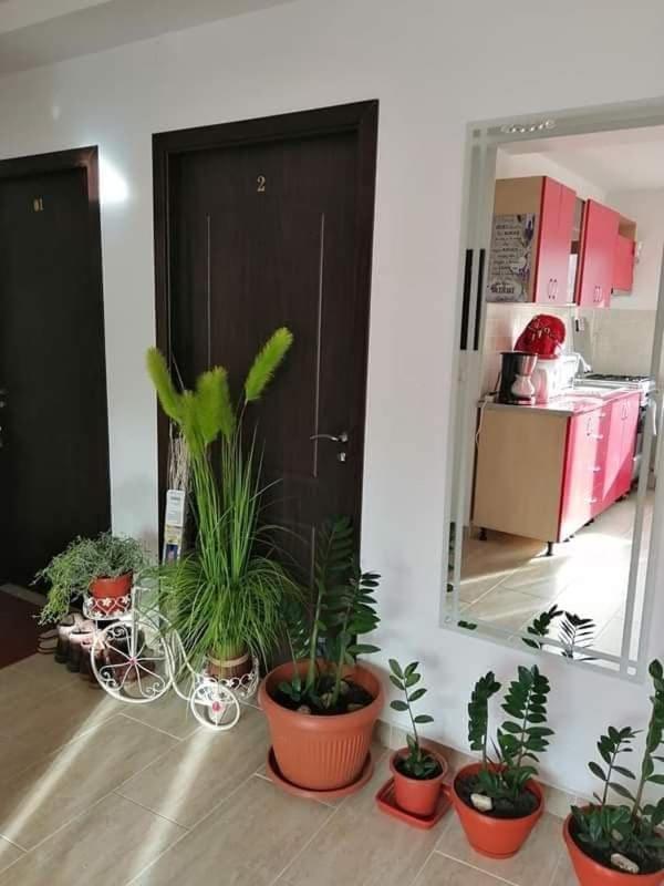 Vila Darian Villa Buşteni Екстериор снимка