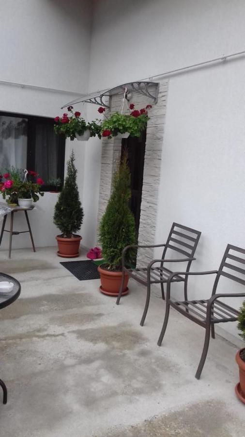 Vila Darian Villa Buşteni Екстериор снимка