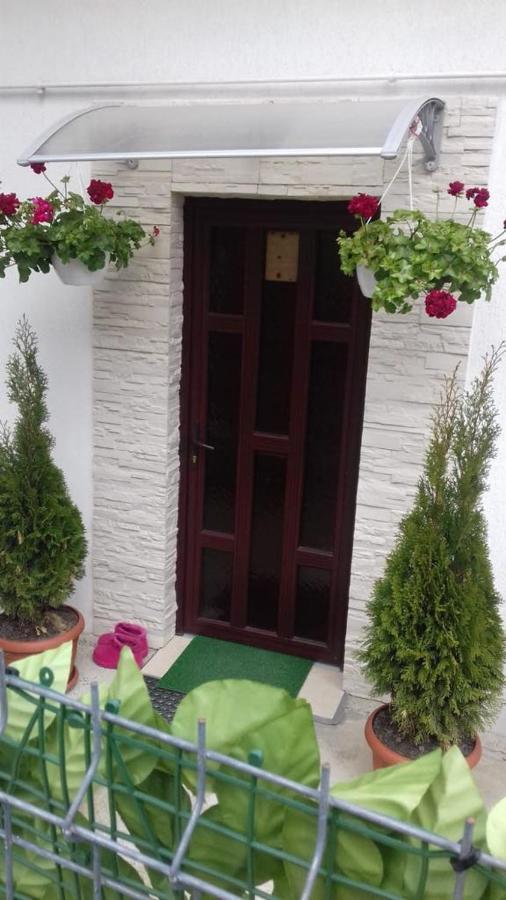 Vila Darian Villa Buşteni Екстериор снимка