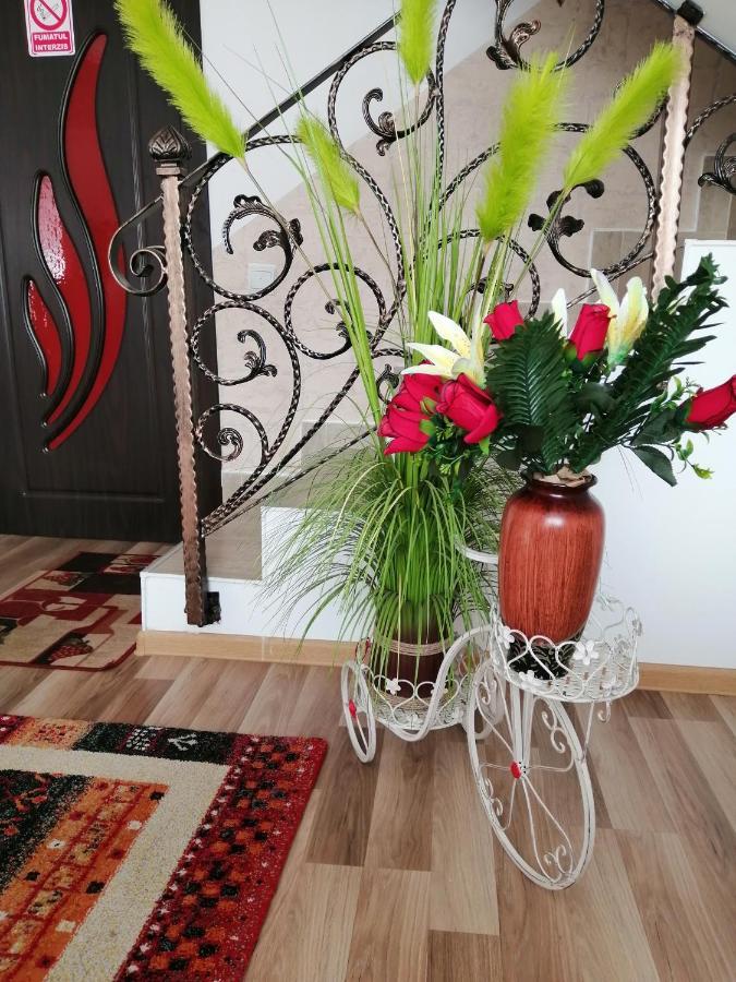 Vila Darian Villa Buşteni Екстериор снимка