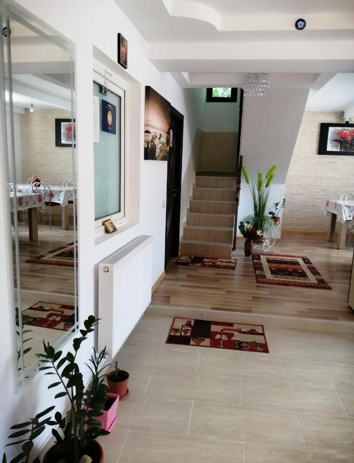 Vila Darian Villa Buşteni Екстериор снимка