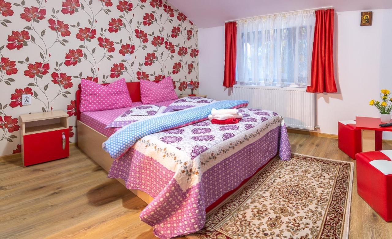 Vila Darian Villa Buşteni Екстериор снимка